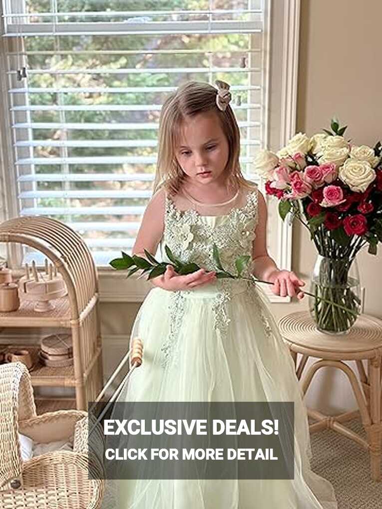 Amazon.com: Ball Gown Flower Girl Dress