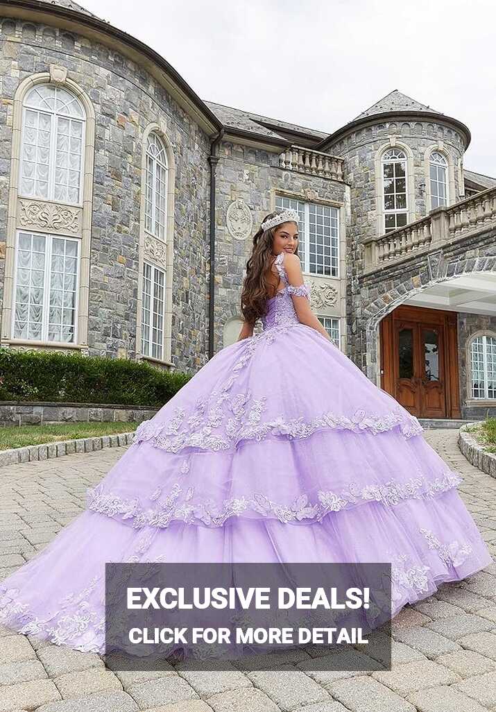 Amazon.com: CLcaojun Ball Gown Embroidered Quinceanera Dresses ...