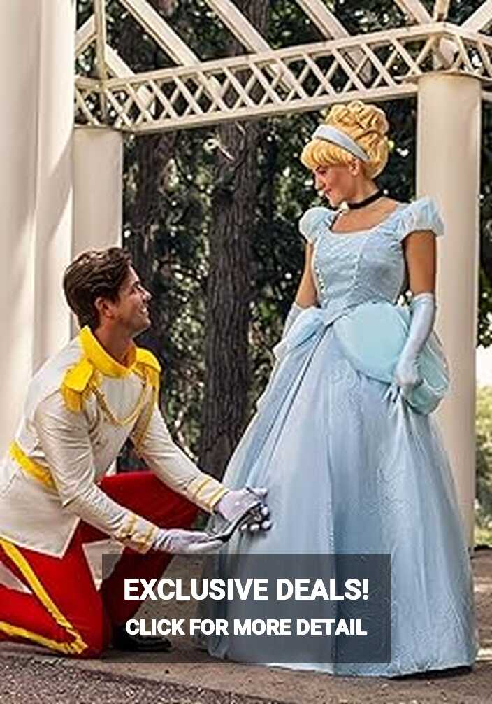 Amazon.com: Fun Costumes Disney Premium Cinderella Dress for Women ...