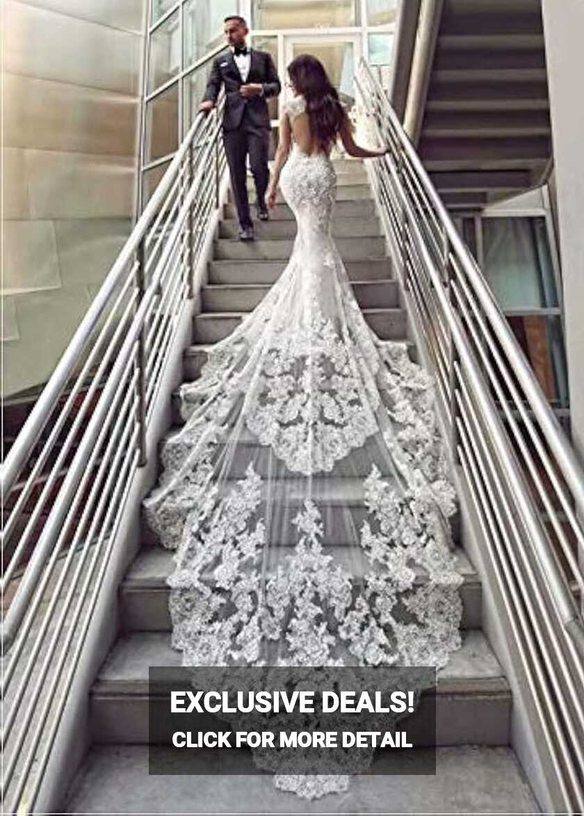 Amazon.com: Plus Size Chapel Train Wedding Gowns 2020 for Bride ...