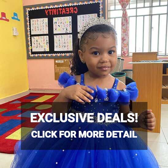 Blue House Princess Dress for Kids