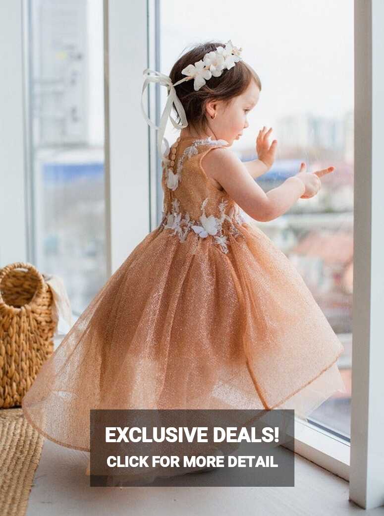 Butterfly Birthday Baby Girl Dress, Rust Flower Girl Dress ...