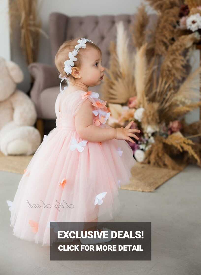 Butterfly First Birthday Baby Dress, Flower Girl Dress, Blush ...