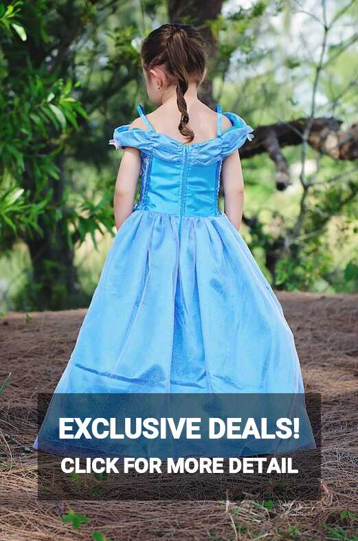 Cinderella Dress / Disney Princess Dress Inspired Costume Ball ...