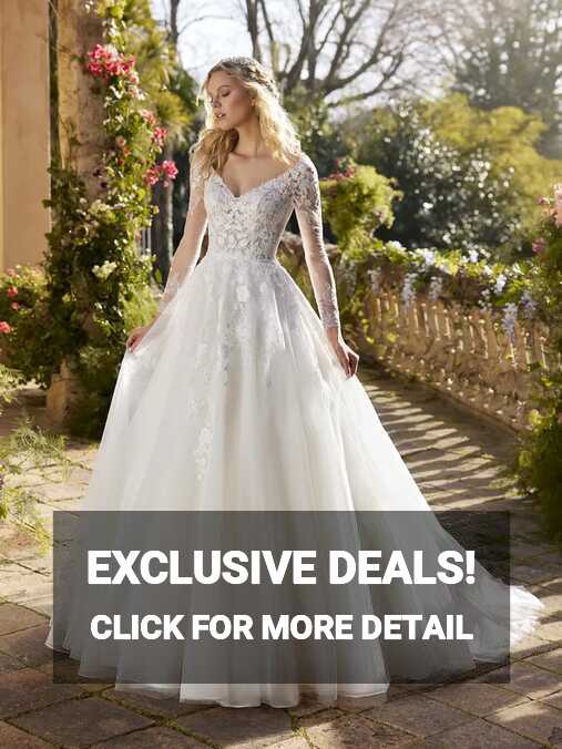 Enchanting princess wedding dress with V-neck and long sleeves ...