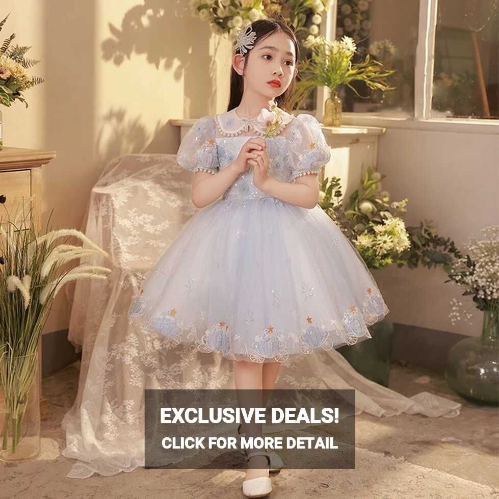 Girl Royal Princess Embroidery Dress for Baby Elegant Wedding ...