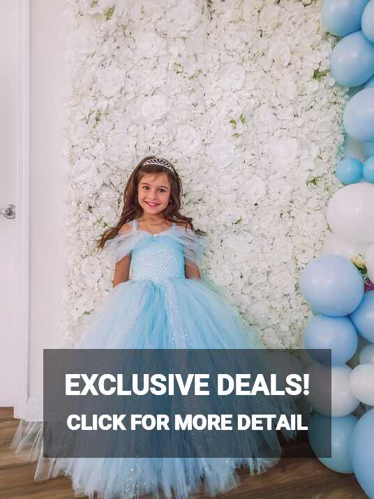 Girl Toddler Cinderella Blue Birthday Photoshoot Flower Girl ...