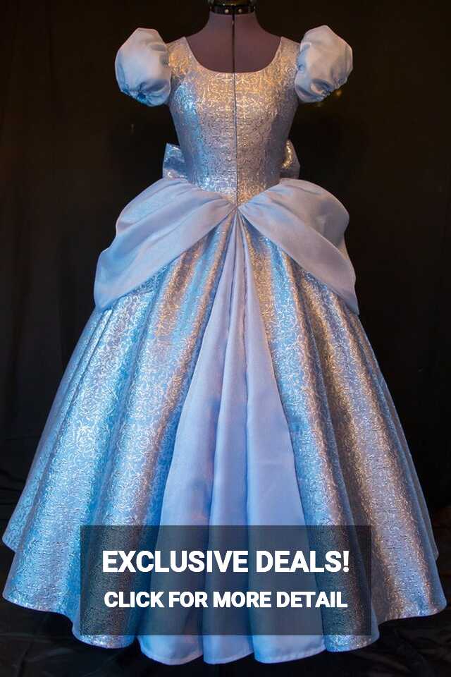 LAST ONE Cinderella Gown Costume DELUXE Adult Version Custom ...