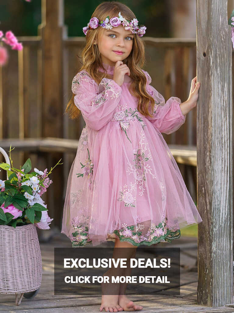 Little Girls Flower Embroidered Lace Dress | Toddler Spring ...