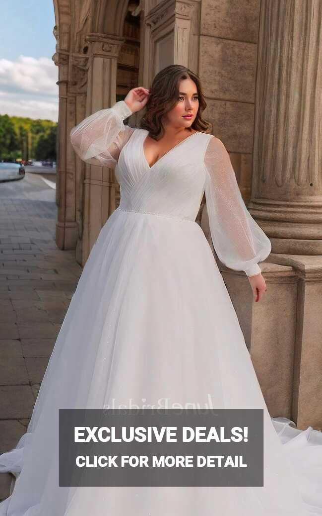 Modest Plus Size Long Sleeve Wedding Dress Simple Casual A-Line V ...