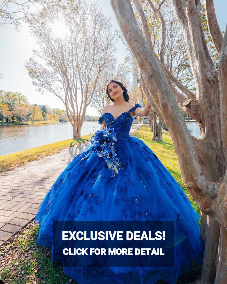 Princess Royal Blue Wedding Dresses Beading Lace Appliques Bridal ...