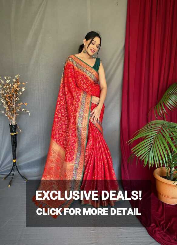 Red Patola Silk Saree with Meenakari Design - Monastoor- Indian ...