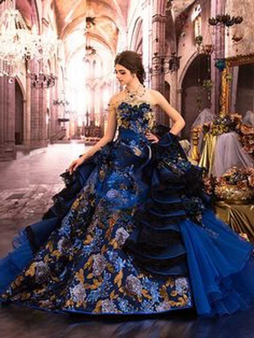 100 Best Royal gowns ideas | gowns, ball gowns, royal gowns