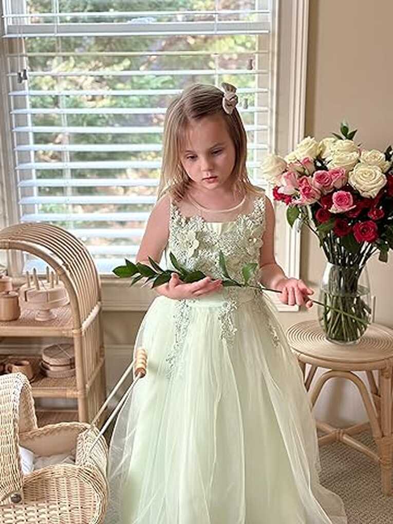 Amazon.com: Ball Gown Flower Girl Dress