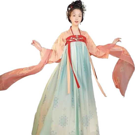 Amazon.com: Bonrina Traditional Chinese Hanfu Costume, Tang ...