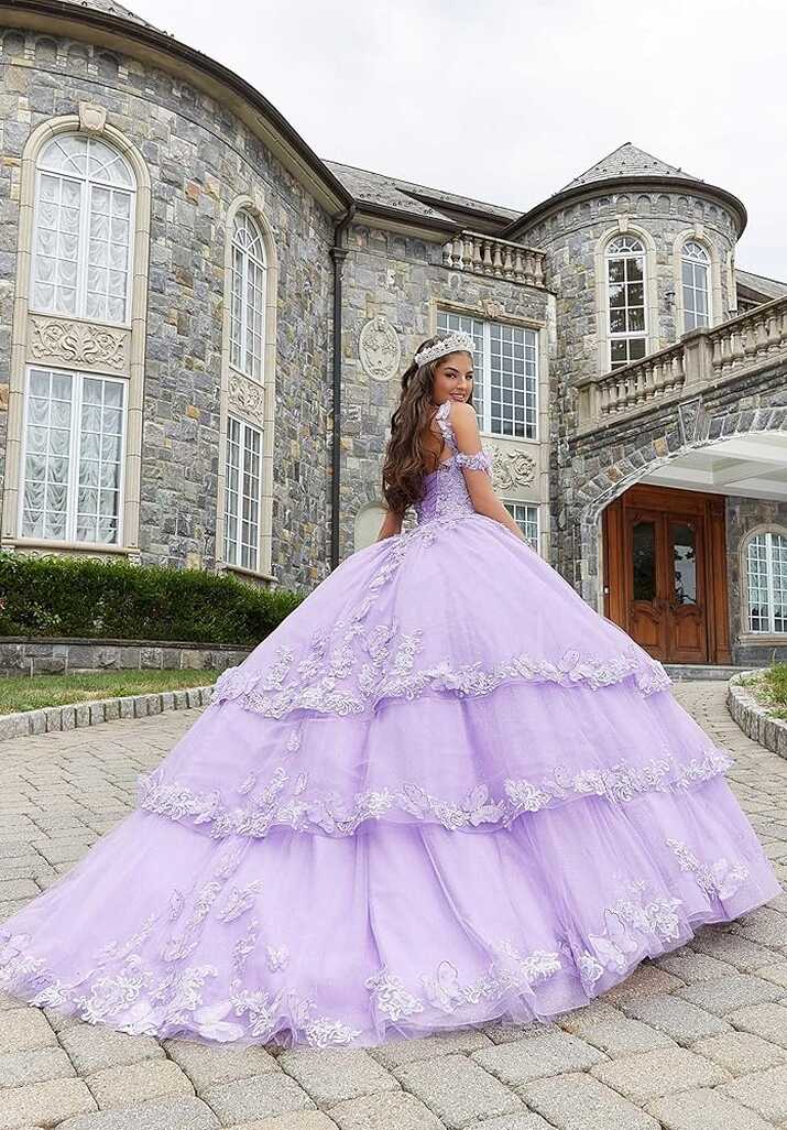 Amazon.com: CLcaojun Ball Gown Embroidered Quinceanera Dresses ...