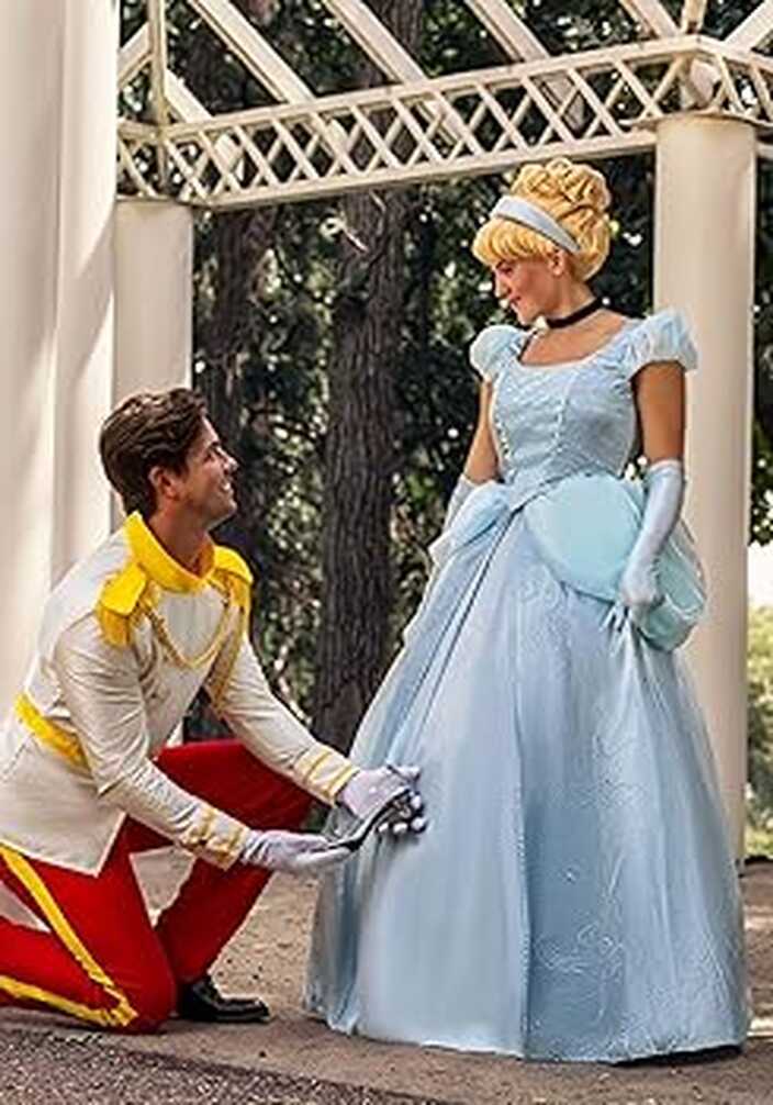 Amazon.com: Fun Costumes Disney Premium Cinderella Dress for Women ...