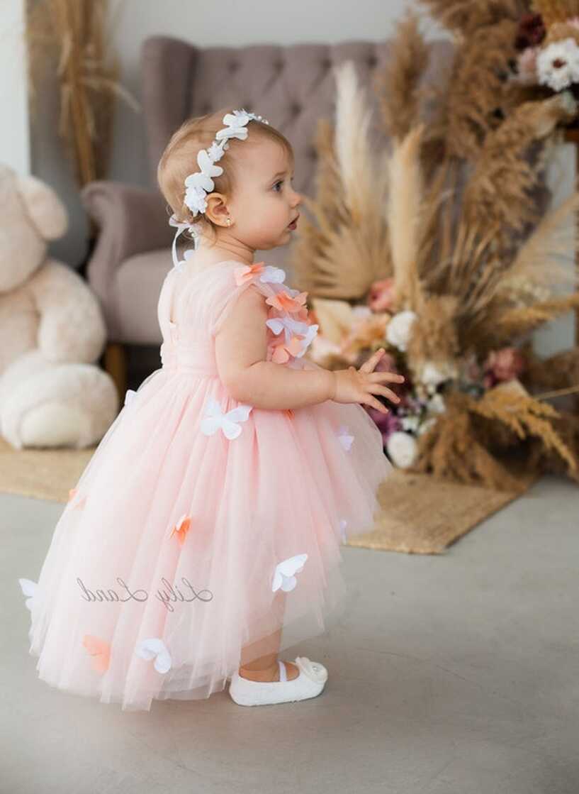 Butterfly First Birthday Baby Dress, Flower Girl Dress, Blush ...