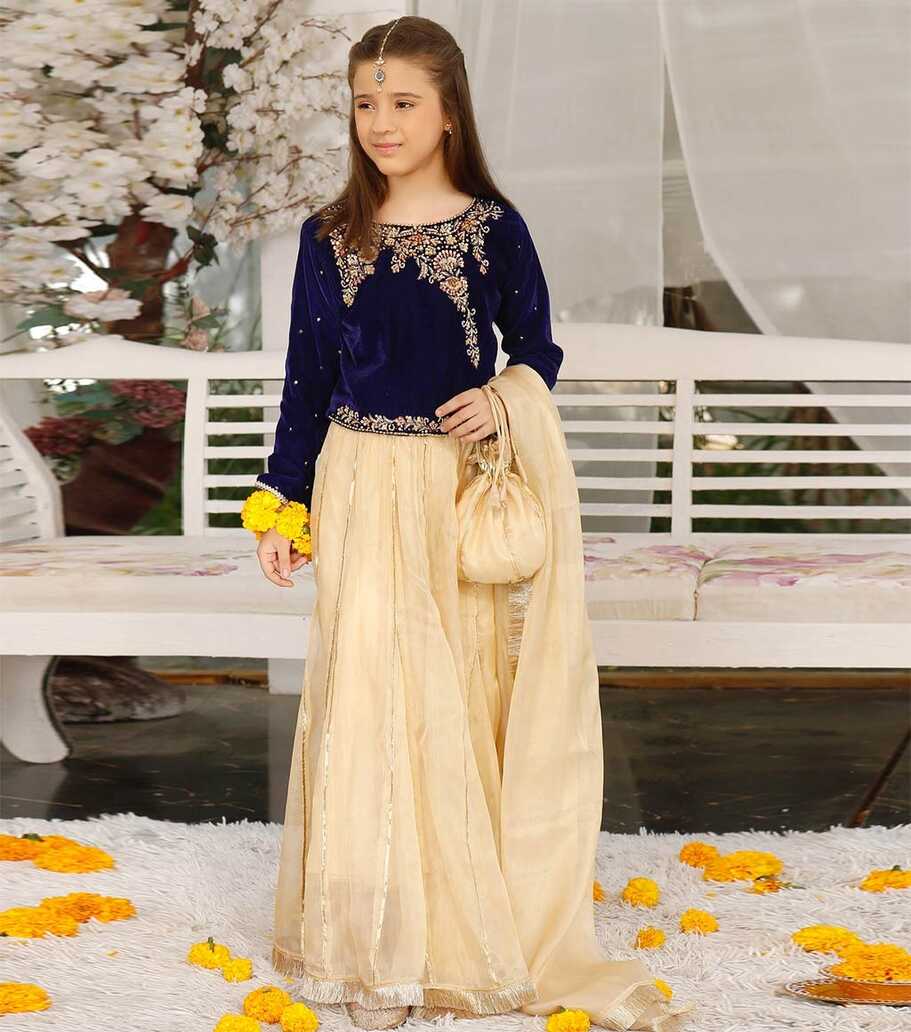 Buy Royal BLue Zil-e-Noor Velvet sharara design for girls By Modest ...