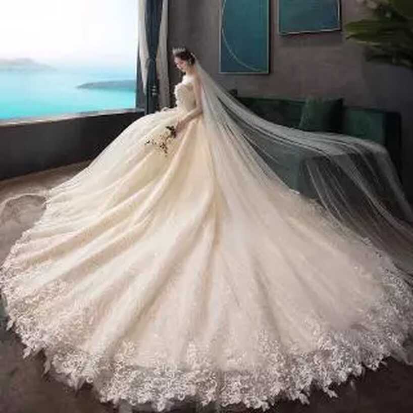 Buy wedding gown long tail Online With Best Price, Jul 2024 ...