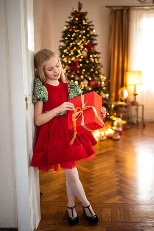 Christmas Baby Girl Dress,baby Girl New Year Outfit,photoshoot ...