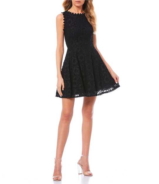 City Vibe Sleeveless Scalloped Round Neckline Lace A-line Dress ...