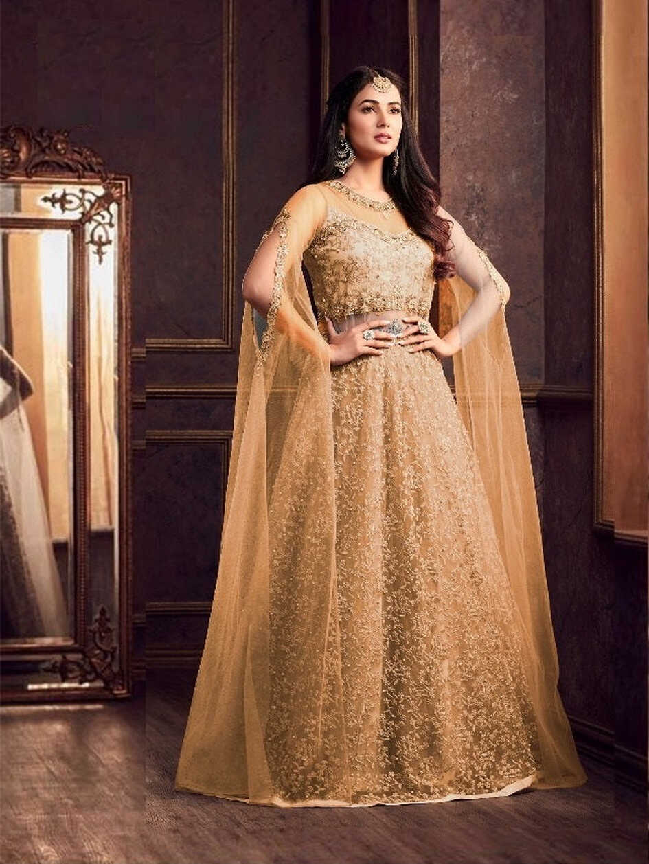 Elegant Golden Net Partywear Gown - Rent