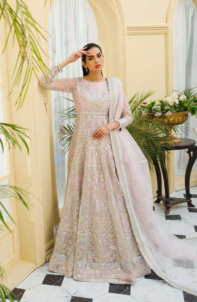 Elegant Long Frock Pakistani in Soft Pink Shade Online 2022 ...