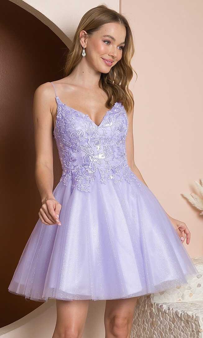 Embroidered-Lace Glitter Tulle Short Homecoming Dress