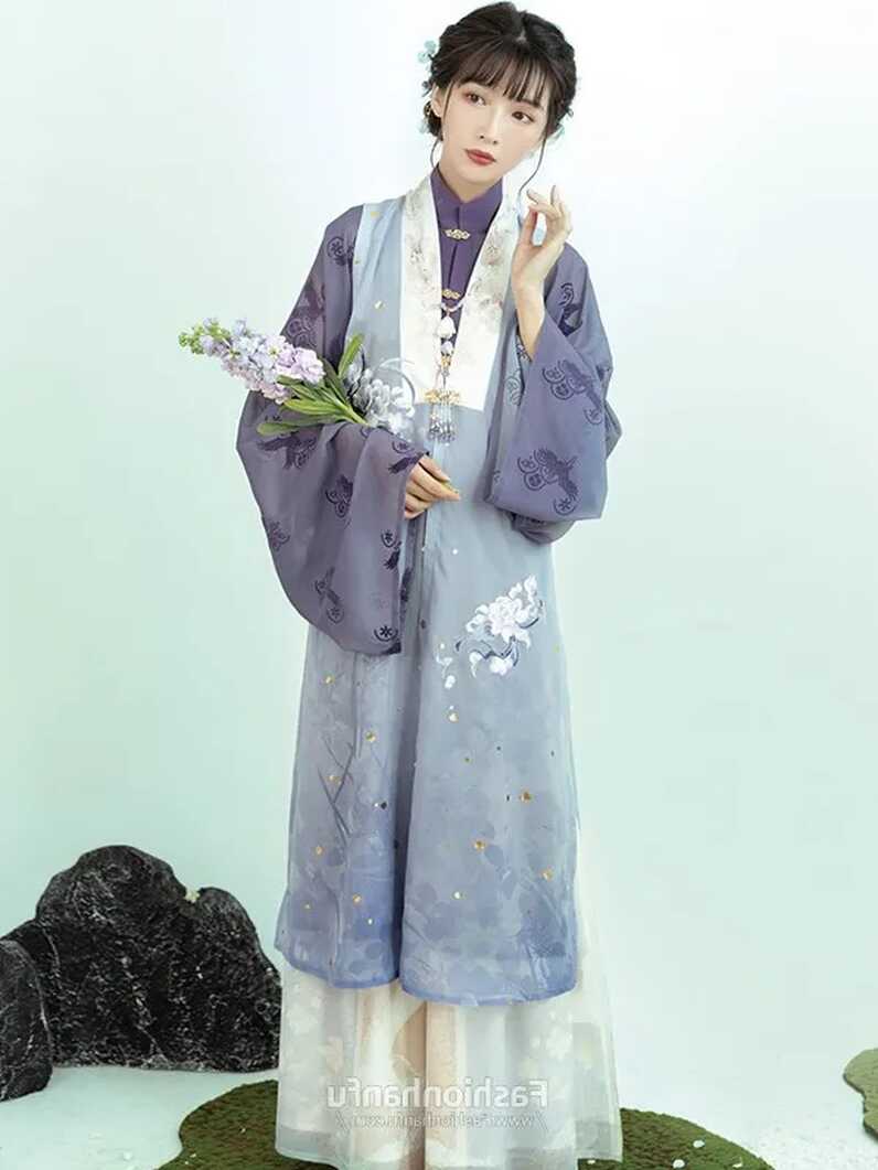 Fashion Hanfu Traditional Chinese Dress Ming Dynasty Hanfu Female ...