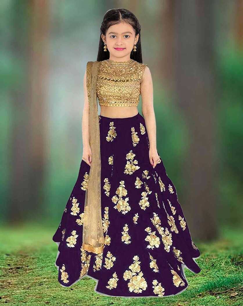 FashionSpeedy Girls Lehenga Choli Ethnic Wear Embroidered Lehenga ...