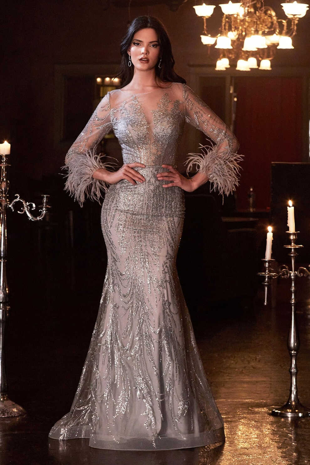 Fitted Long Sleeves Feathers Glitter Evening Dress Cinderella ...