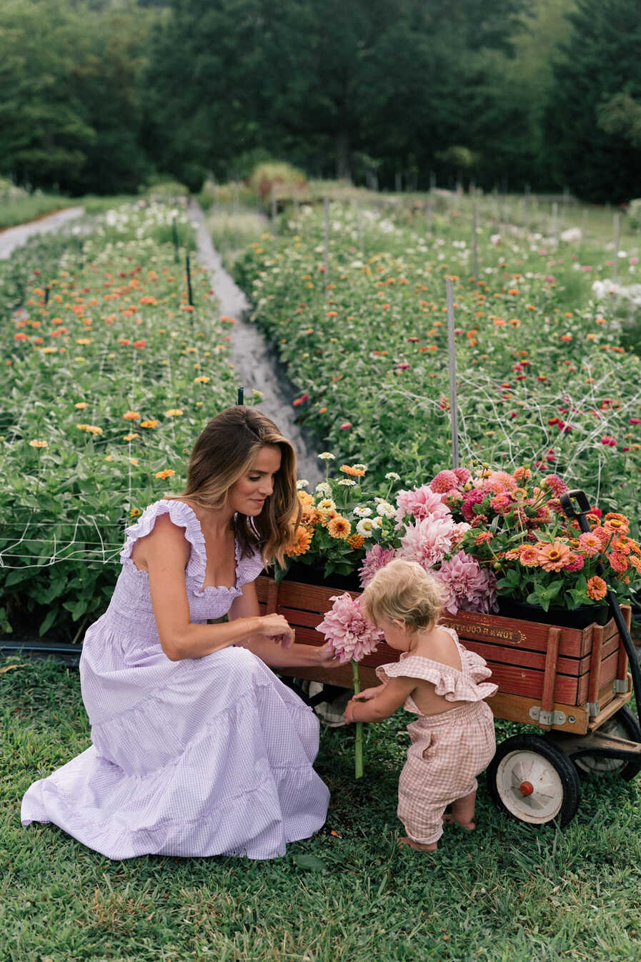 Garden Dresses - Julia Berolzheimer