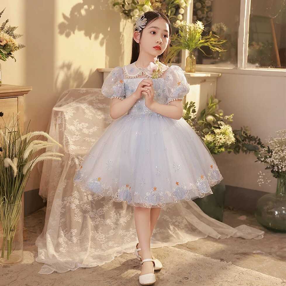 Girl Royal Princess Embroidery Dress for Baby Elegant Wedding ...