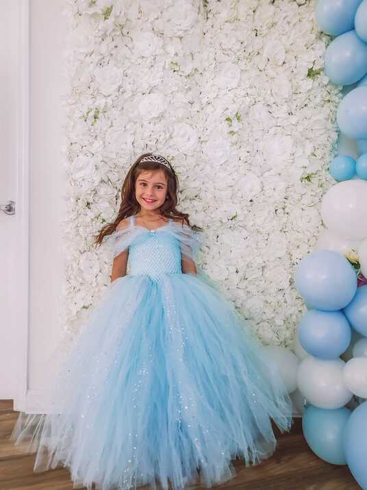 Girl Toddler Cinderella Blue Birthday Photoshoot Flower Girl ...