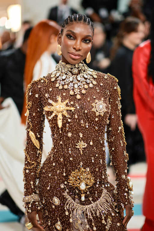 Here are all the best looks from the Met Gala 2023 : The Picture ...