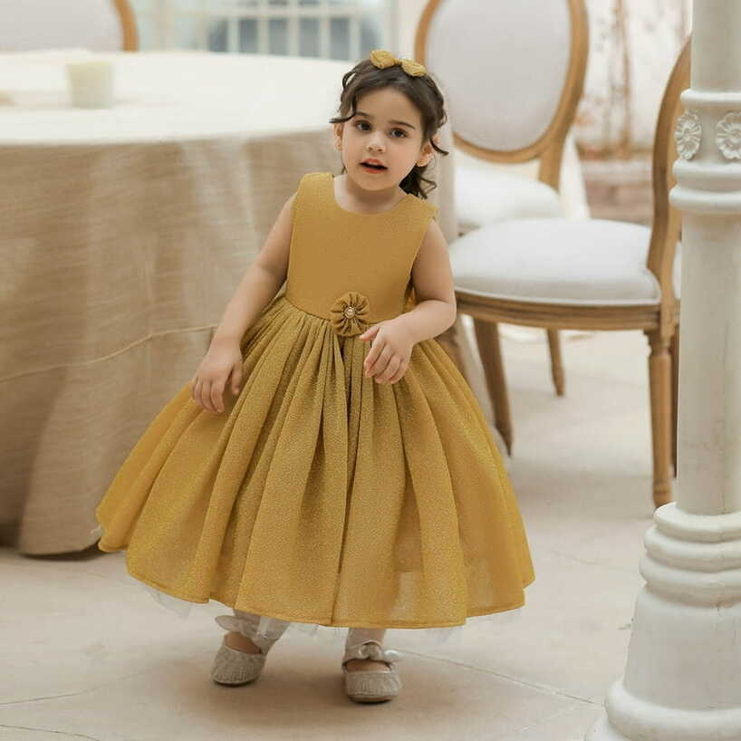 Herrnalise Princess Dress Toddler Girls Net Yarn Embroidery ...