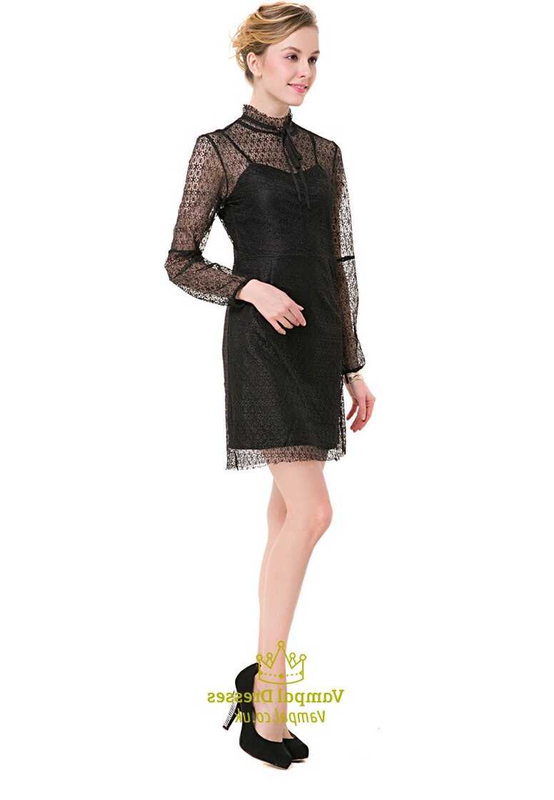 Illusion High-Neck Long Sleeve Knee Length Black Lace Casual Dress