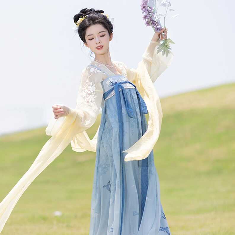 Lady Tang Dynasty Qixiong Shanqun Dress Set Fresh Improved Hanfu - Newhanfu