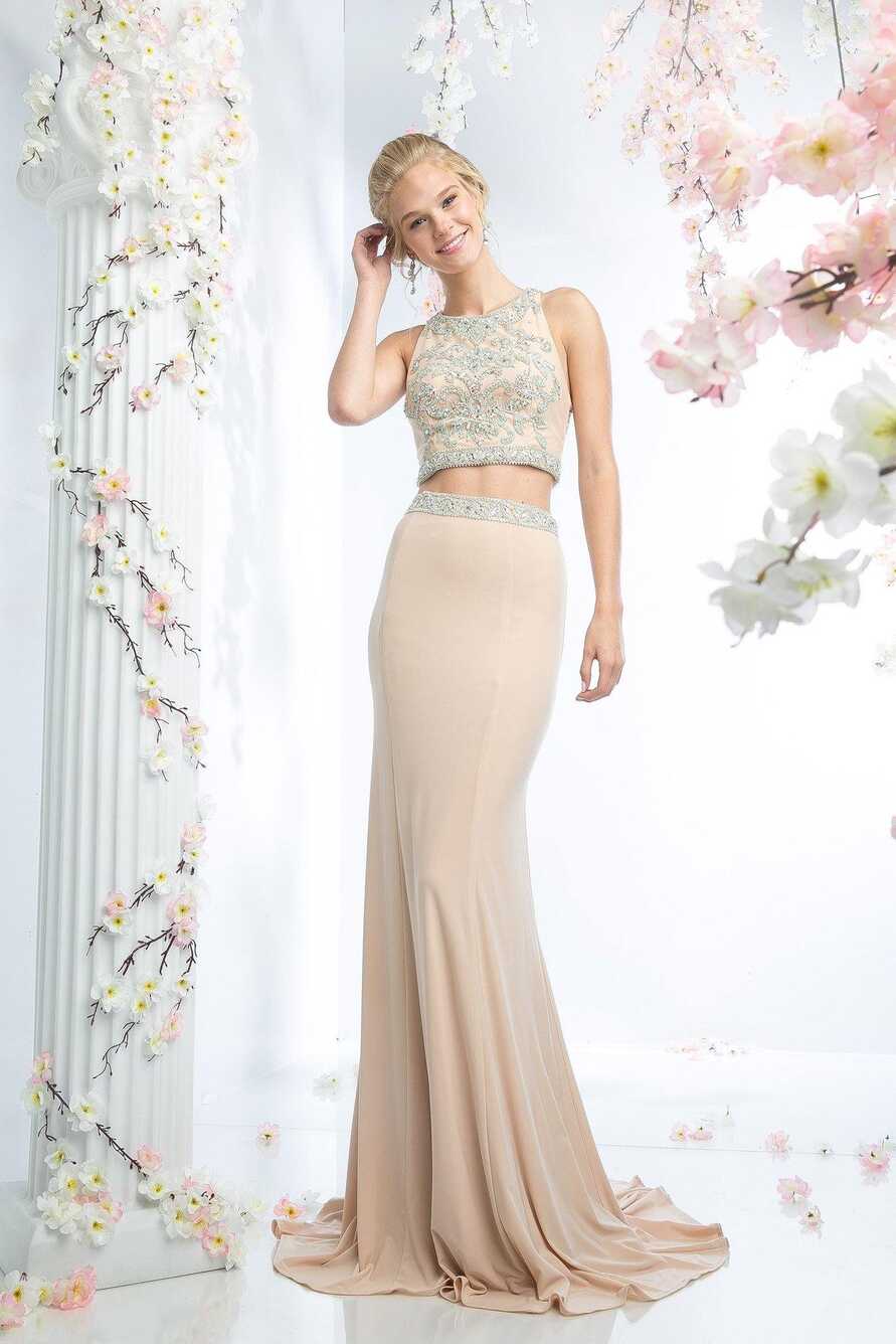 Look for Elegant Long Homecoming Dresses Now - The Dress Outlet