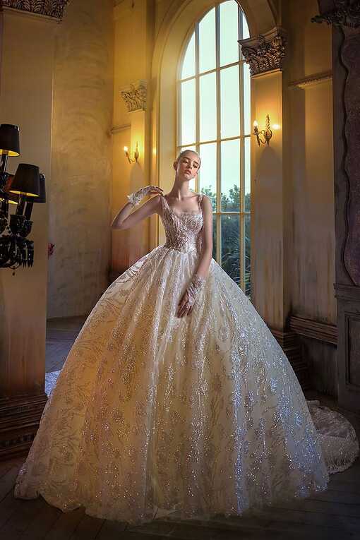 Modern and Regal: Stunning Princess Wedding Dresses