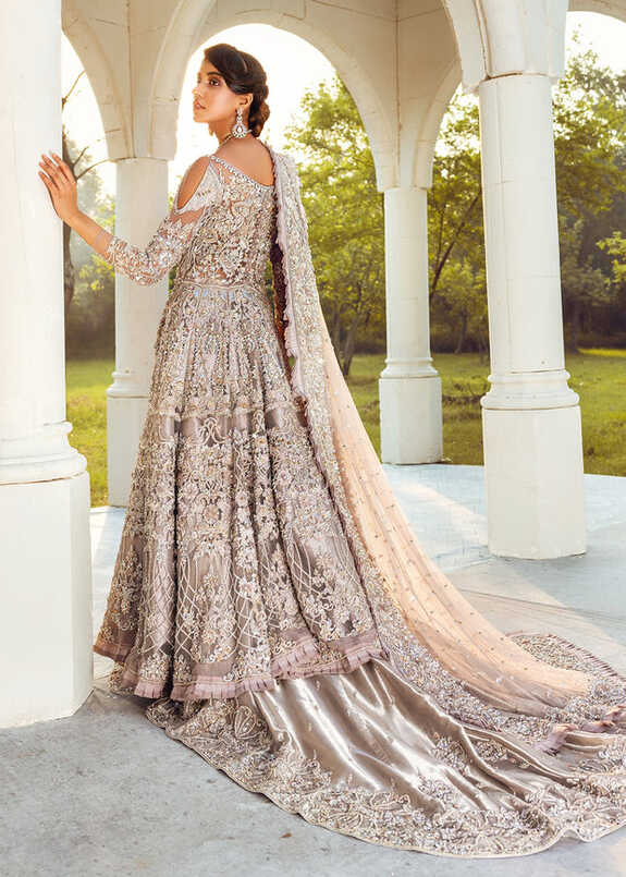 Pakistani Embellished Silver Lehenga Gown in Heavy Zardozi Work ...