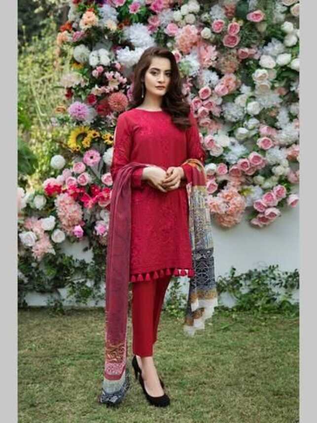 Pakistani Salwar Kameez - Shop Pakistani Shalwar Suits in ...