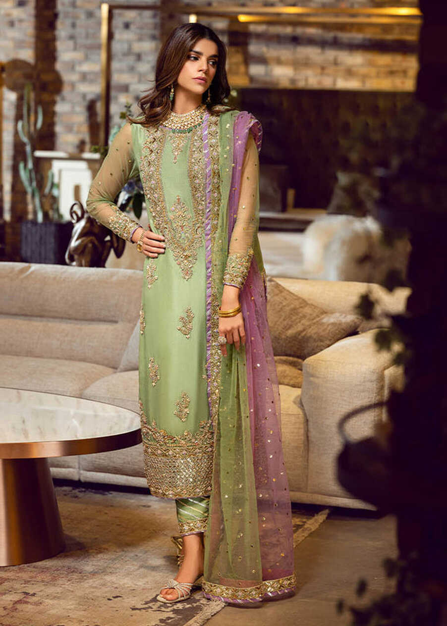 Pista Plain Raw Silk Dresses Pakistani Party Wear Outfit – Nameera ...