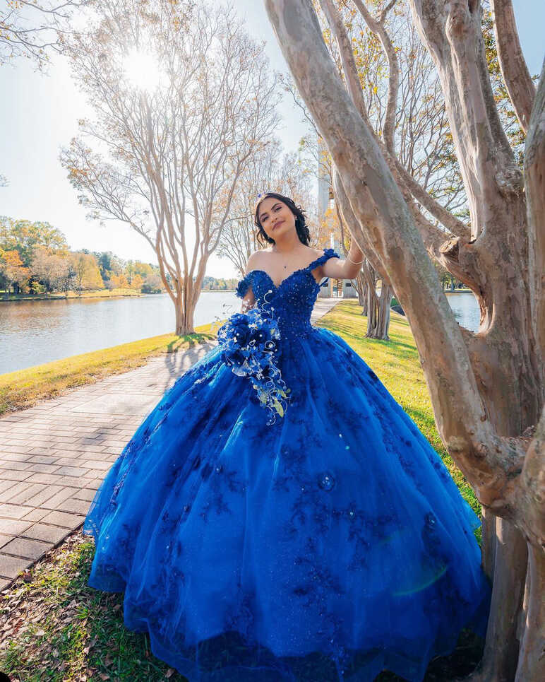 Princess Royal Blue Wedding Dresses Beading Lace Appliques Bridal ...