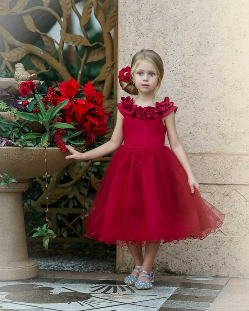 Red Flower Girl Dress,red Christmas Dress,tulle Flower Girl ...