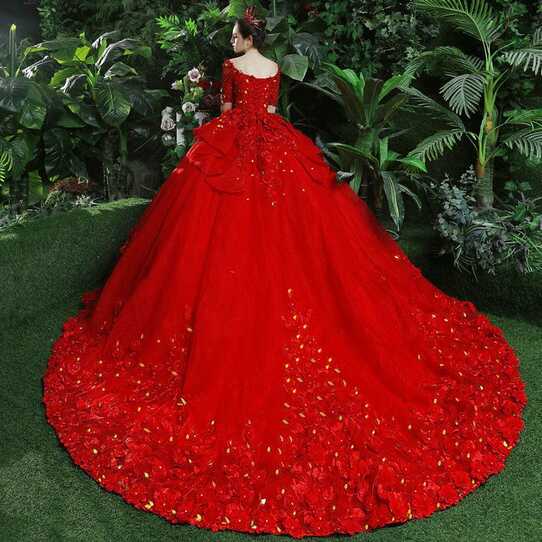 Red Wedding Dress Plus Size Princess Short Sleeve Ball Gown