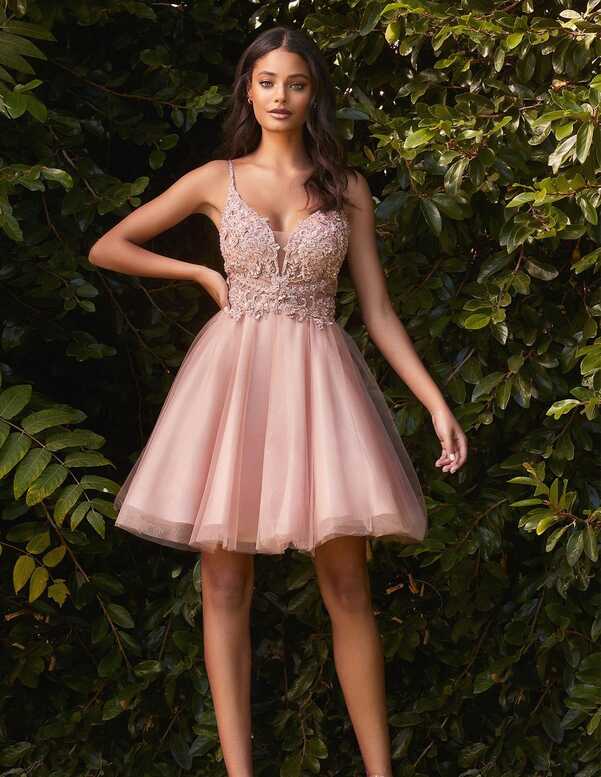 Short party dress with tulle skirt and embroidered bodice ...