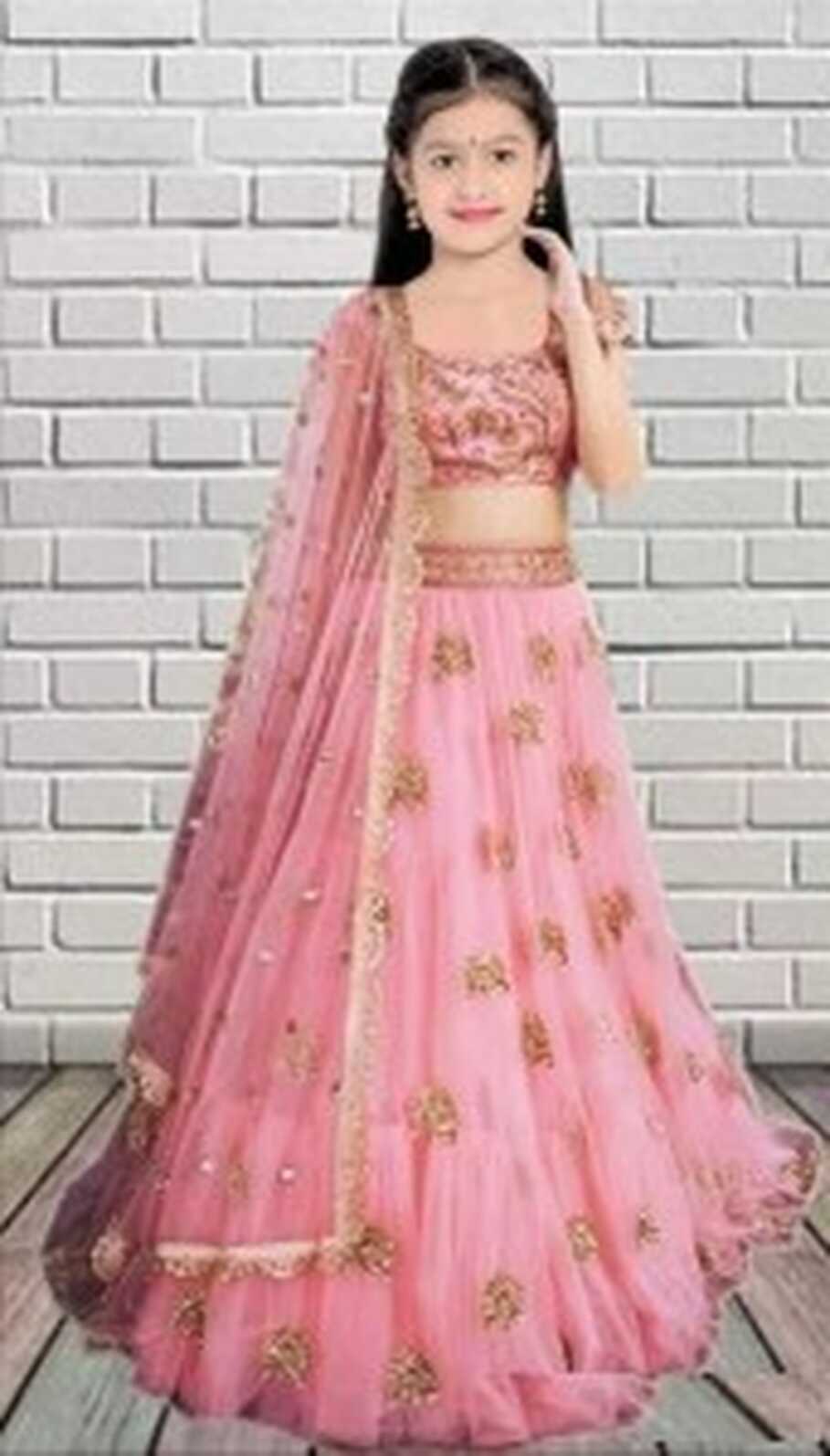 Women Wed Girls Lehenga Choli Ethnic Wear Embroidered Ghagra ...